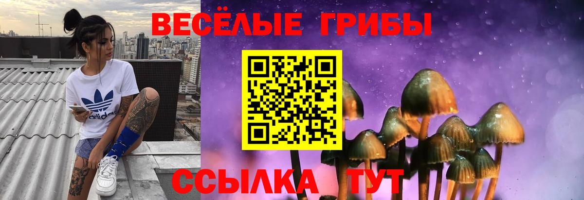 Первоуральск  Галлюциногенные грибы Psilocybine cubensis  Вход с VPN 